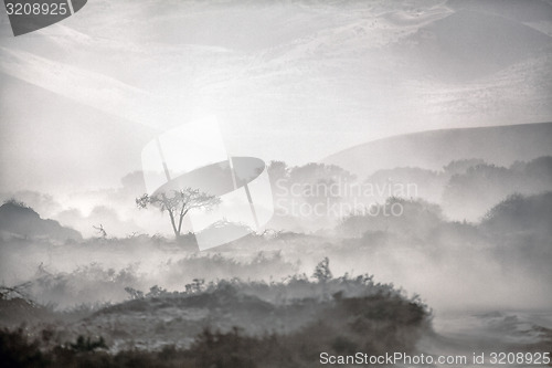 Image of Sand Storm