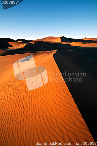 Image of Sand dunes