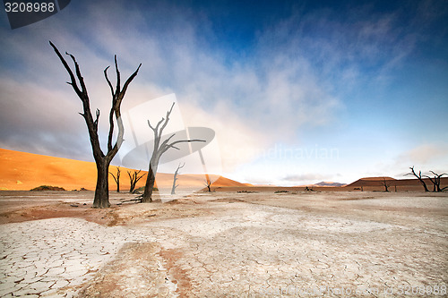 Image of Deadvlei