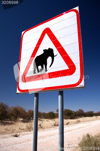 Image of Caution Elephants