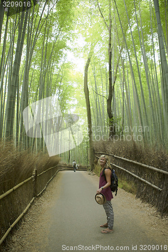 Image of Bamboo Grove