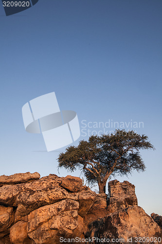 Image of African landscape