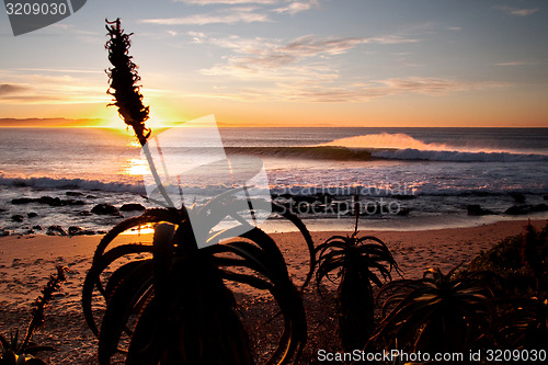 Image of Surfing wave