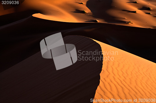Image of Sand Dune