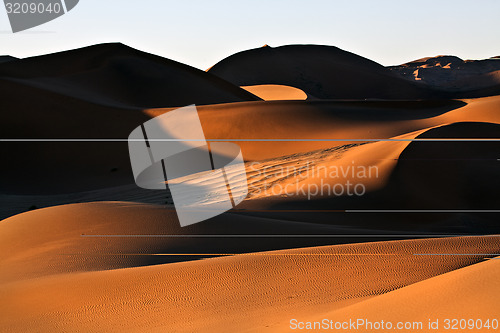 Image of Sand Dune