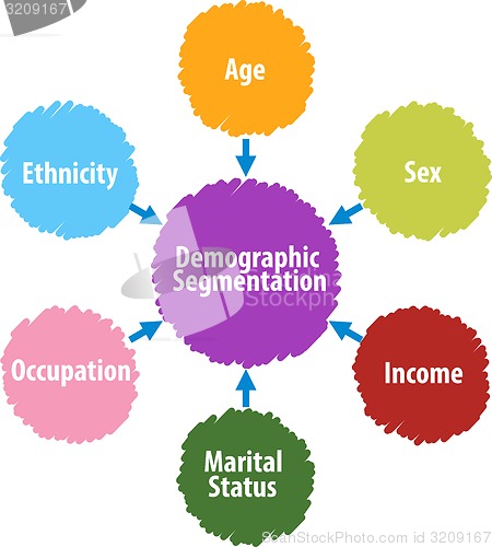 Image of Demographic segmentation business diagram illustration