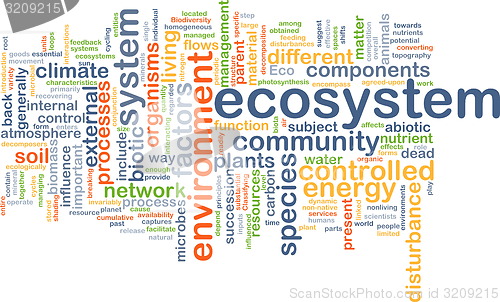 Image of ecosystem wordcloud concept illustration