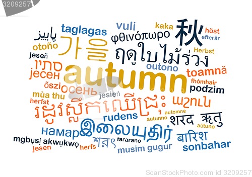 Image of autumn multilanguage wordcloud background concept