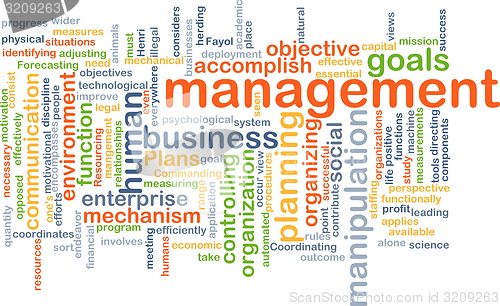 Image of management wordcloud concept illustration