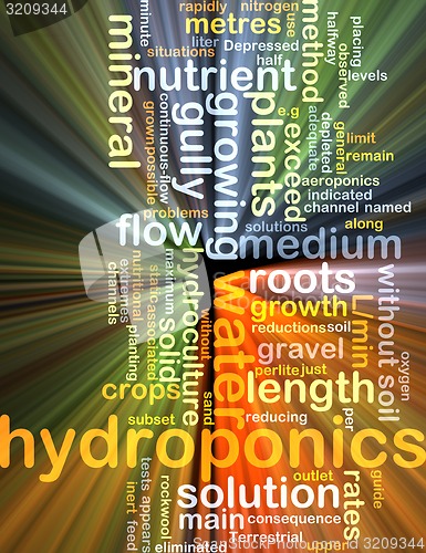 Image of hydroponics wordcloud concept illustration glowing