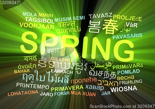 Image of Spring multilanguage wordcloud background concept glowing
