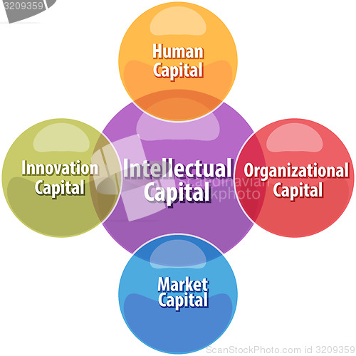 Image of Intellectual capital business diagram illustration