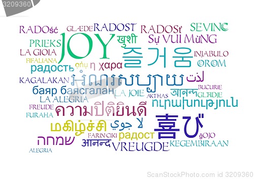 Image of joy multilanguage wordcloud background concept