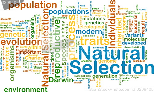 Image of natural selection wordcloud concept illustration