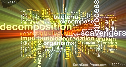 Image of Decomposition wordcloud concept illustration glowing