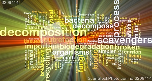 Image of Decomposition wordcloud concept illustration glowing