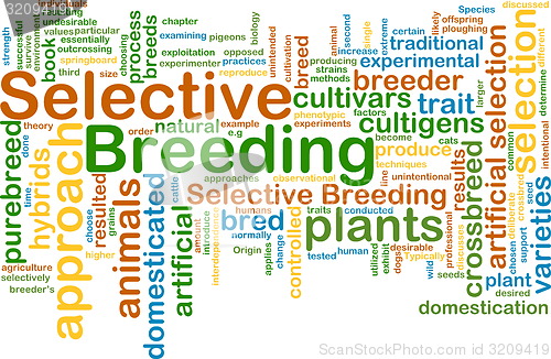 Image of selective breeding wordcloud concept illustration