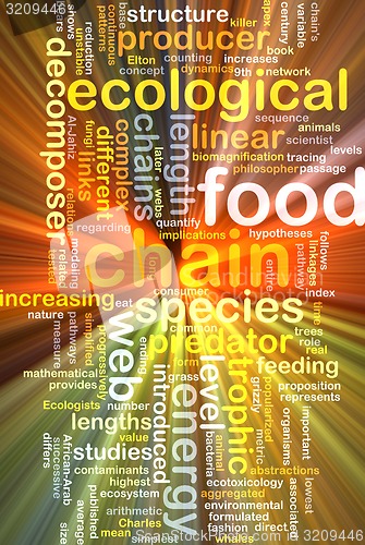 Image of Food chain wordcloud concept illustration glowing