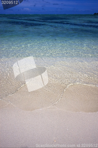 Image of beach  in  mauritius