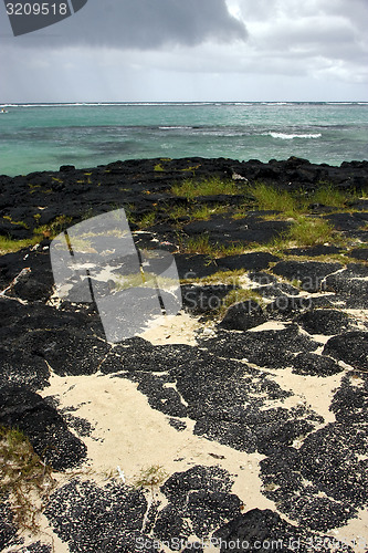 Image of beach rock and stone in belle mare mauritius