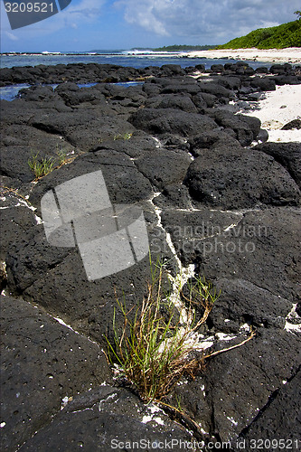 Image of beach rock and stone