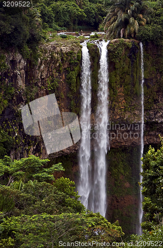 Image of chamarel falls 