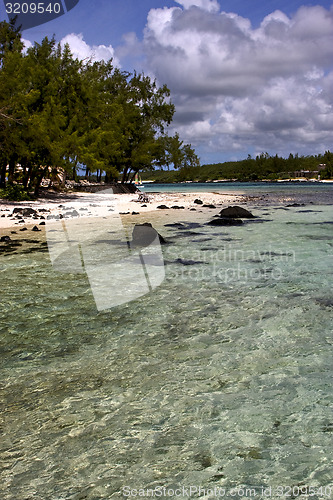 Image of beach rocks and stones in deus cocos