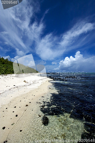 Image of beach rocks and stones 