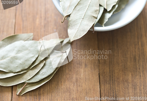 Image of bay leaves
