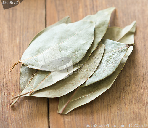 Image of bay leaves