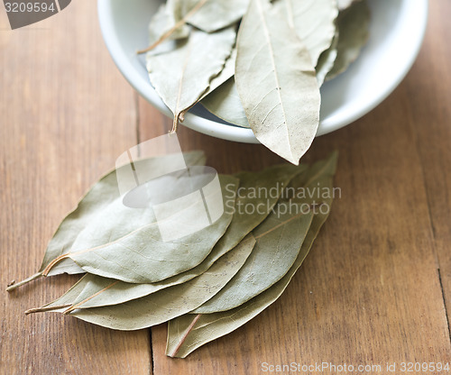 Image of bay leaves