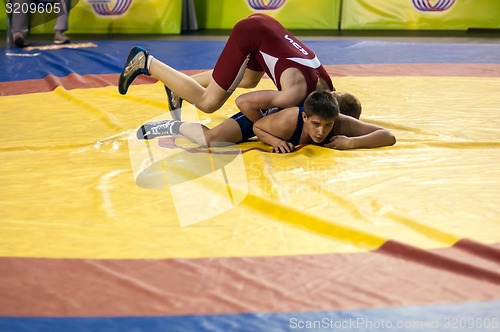 Image of Youth competitions on sporting wrestling