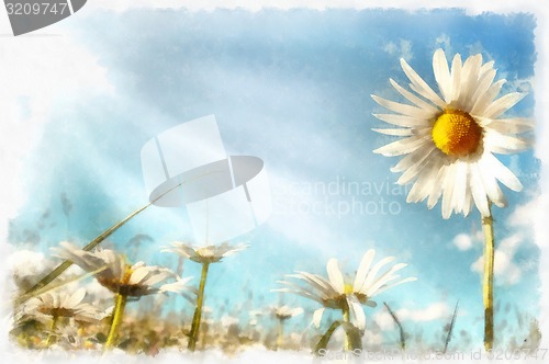 Image of spring daisy flower field vintage