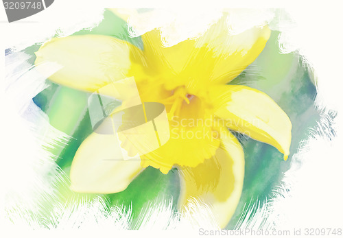 Image of spring daffodils in garden, vintage watercolor effect