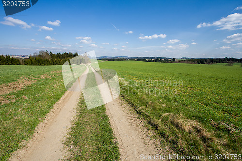 Image of rural landscape with trees next to meadows