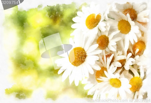 Image of spring daisy flower field vintage