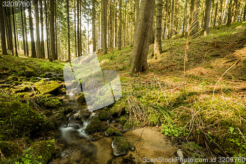 Image of Falls on the small mountain river in a forest