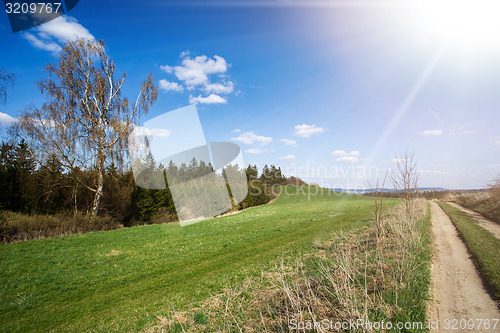 Image of rural landscape with trees next to meadows