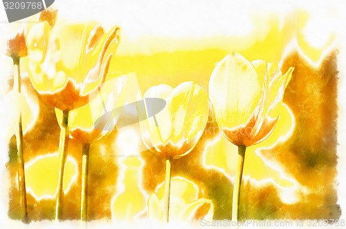 Image of watercolor akvarel paint effect of spring yellow tulips