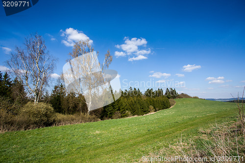 Image of rural landscape with trees next to meadows