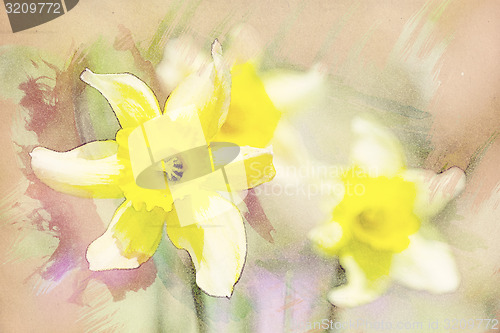 Image of spring daffodils in garden, vintage watercolor effect