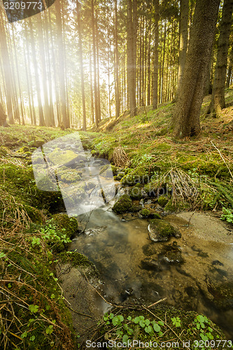 Image of Falls on the small mountain river in a forest