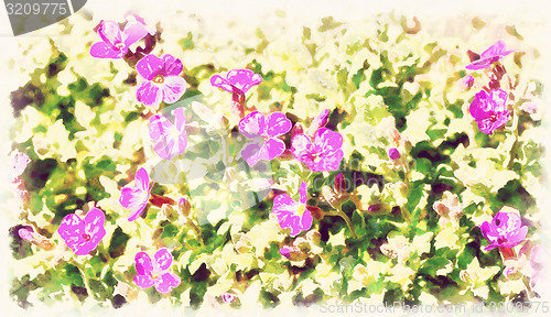Image of Beautiful spring flowers in sunny day in vintage tone