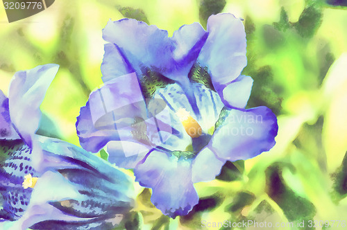 Image of watercolor illustration of trumpet gentiana blue spring flower