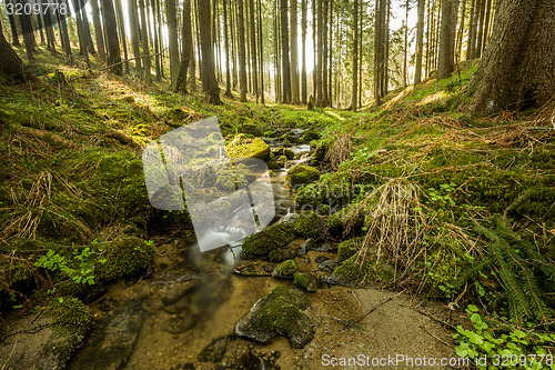 Image of Falls on the small mountain river in a forest