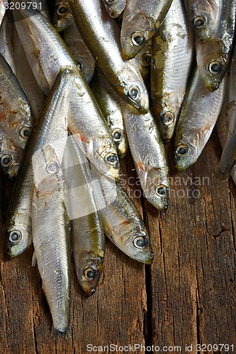 Image of Heap of small anchovies