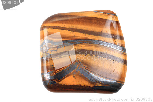 Image of tiger eye isolated