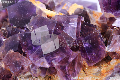 Image of violet fluorite cubes