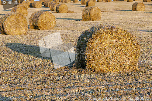 Image of straw stack  