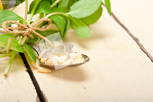 Image of Arab traditional mint and pine nuts tea